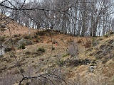 Mfaie1218 022